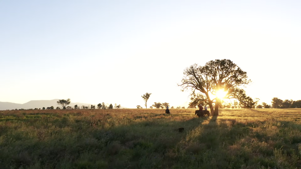 Three people riding horses looking out into the sunset