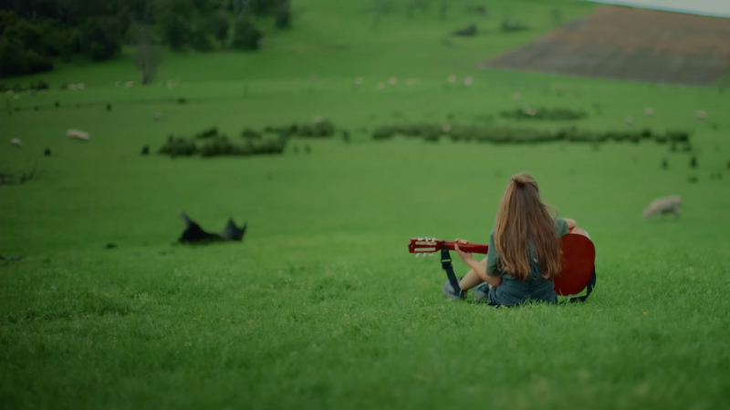 Lion // Steph Strings - Environmental Music Prize